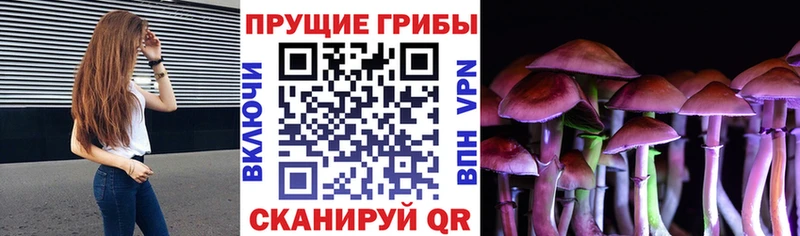 hydra онион  Боготол  Псилоцибиновые грибы Magic Shrooms  купить наркотик 